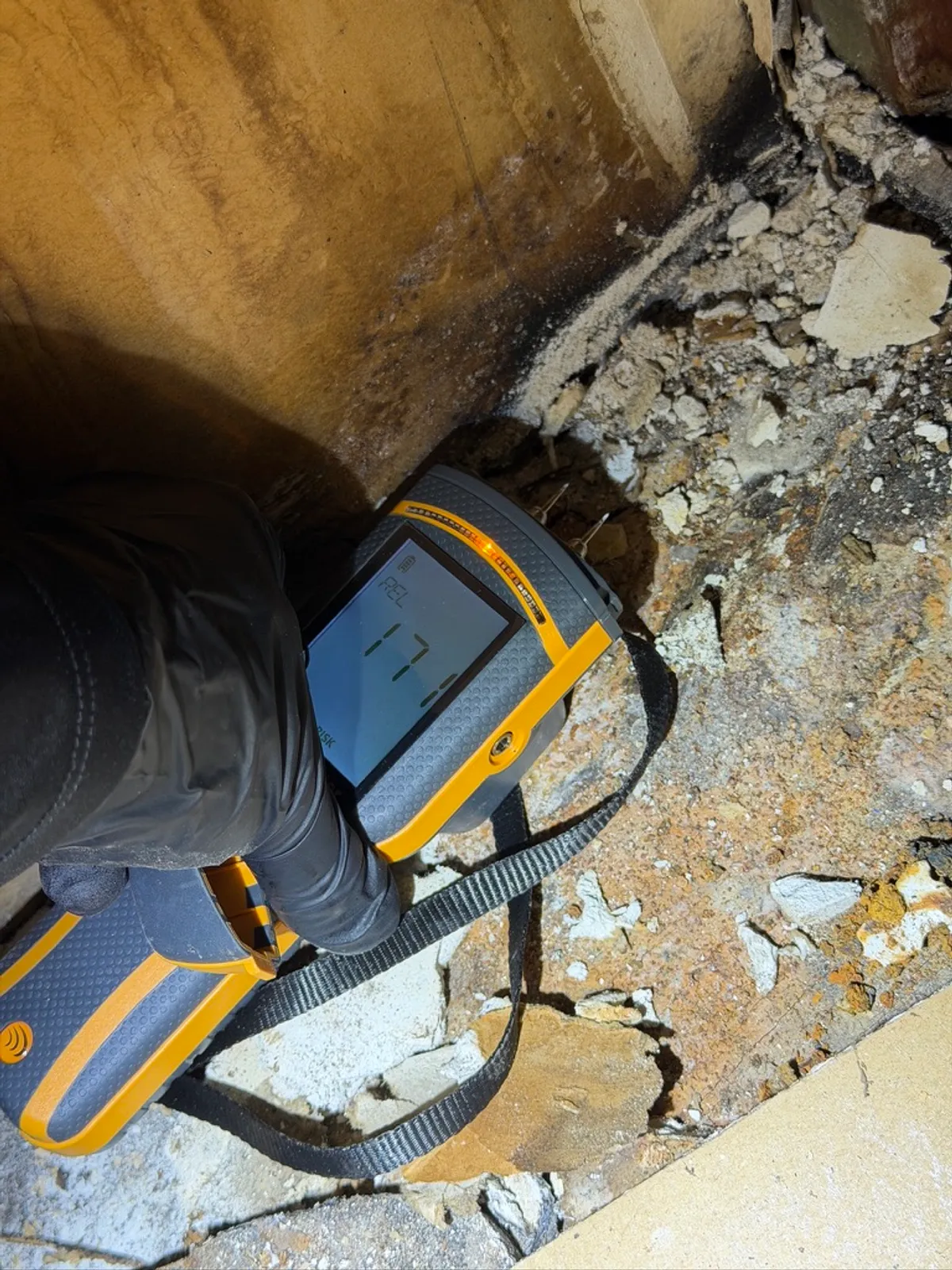 Found Mold in Your Basement? What to Do First